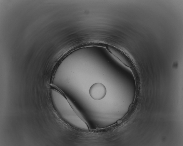 X0000093500785200710191248