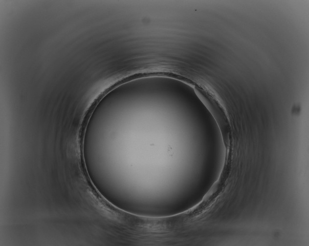 X0000093500789200710191248