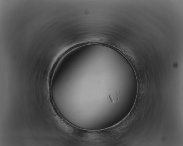 X0000093500792200710191248