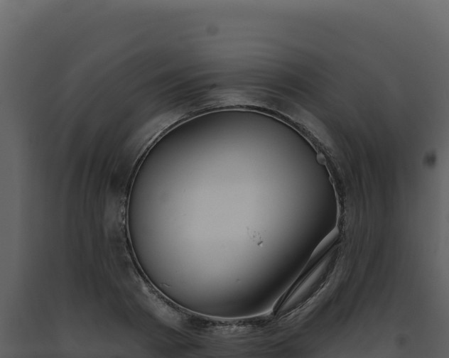 X0000093500793200710191247