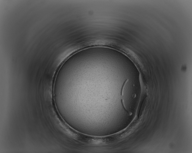 X0000093500794200710191247