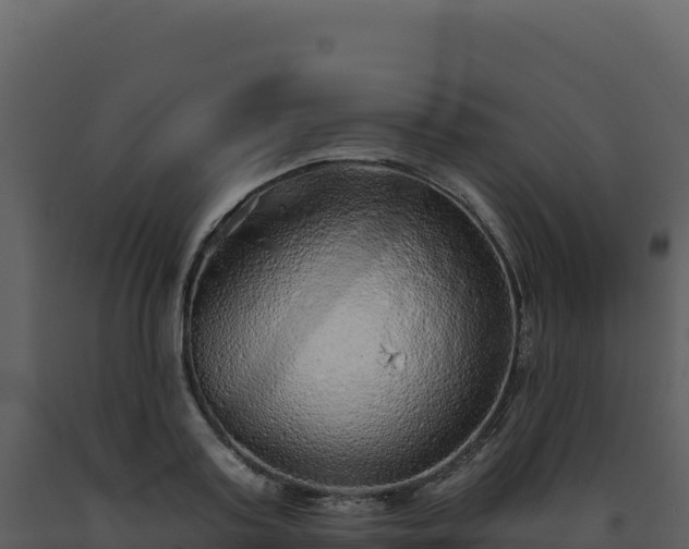 X0000093500795200710191247
