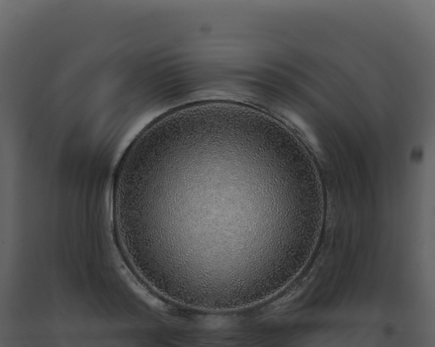 X0000093500796200710191247