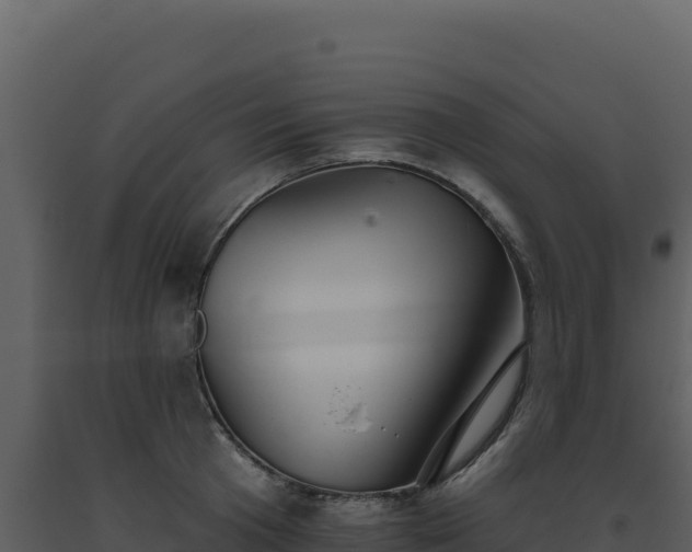 X0000093500801200710191247