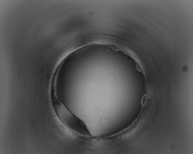 X0000093500803200710191247