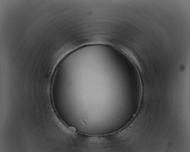 X0000093500805200710191247