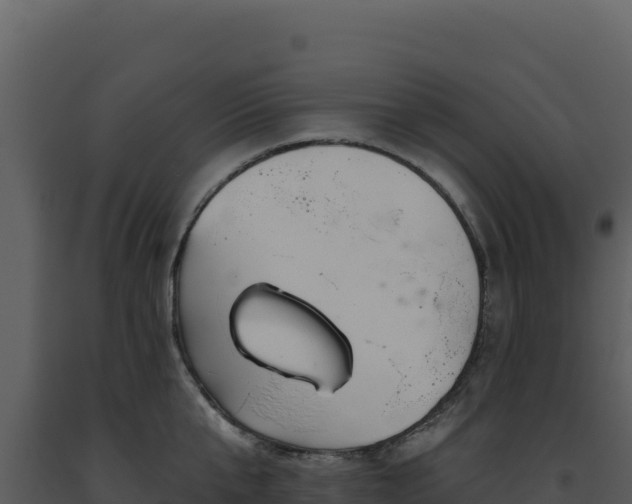 X0000093500807200710191247