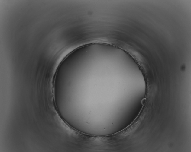 X0000093500808200710191247