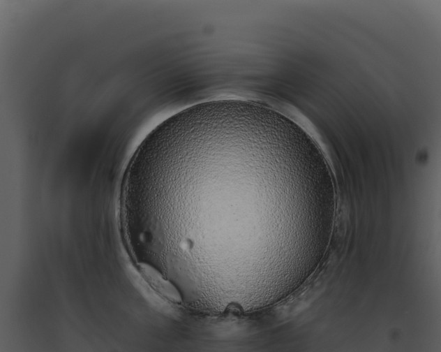 X0000093500811200710191247