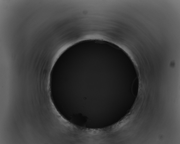 X0000093500815200710191247