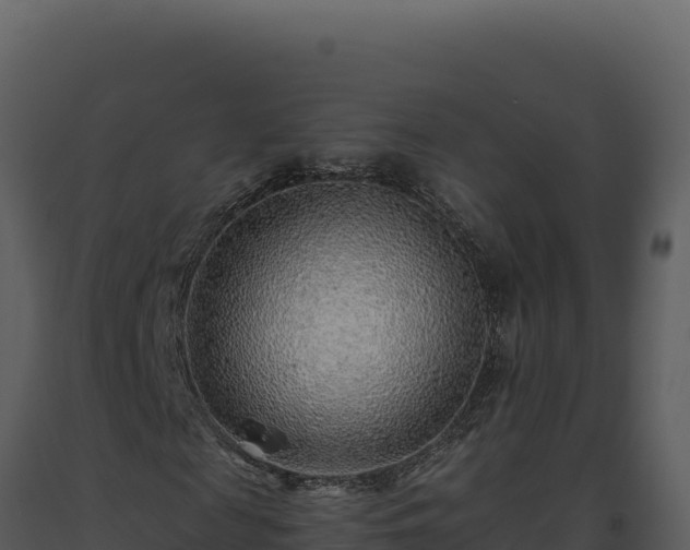 X0000093500817200710191247