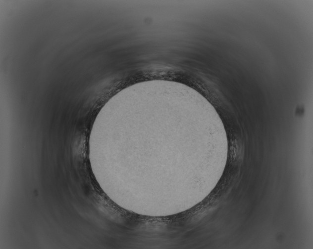 X0000093500820200710191247