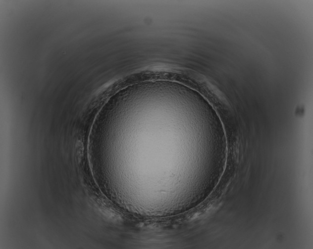 X0000093500821200710191247