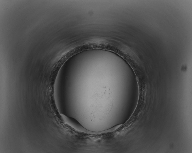 X0000093500822200710191247