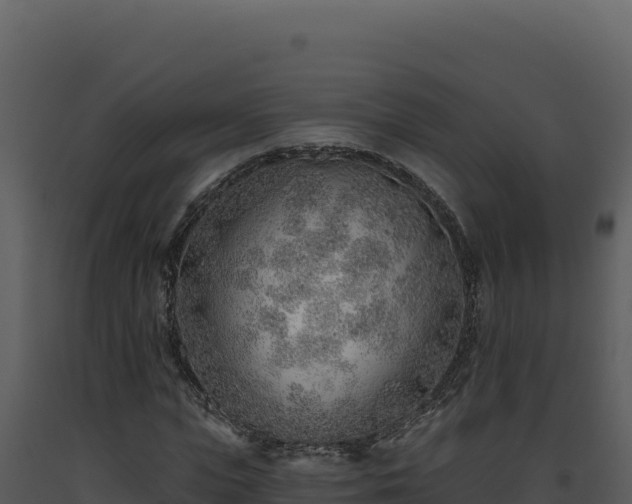 X0000093500823200710191247