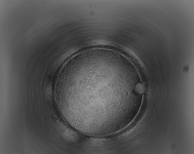 X0000093500825200710191247