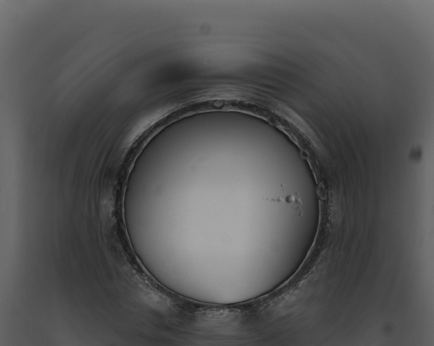 X0000093500826200710191247