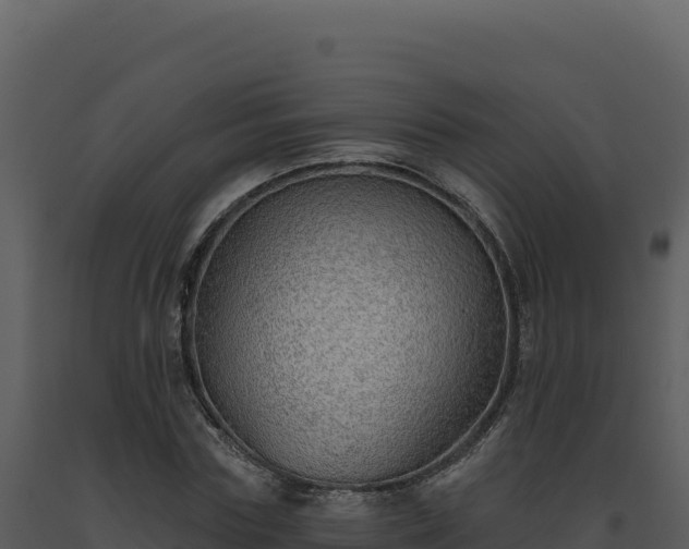X0000093500827200710191247