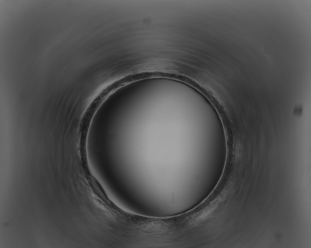 X0000093500830200710191247