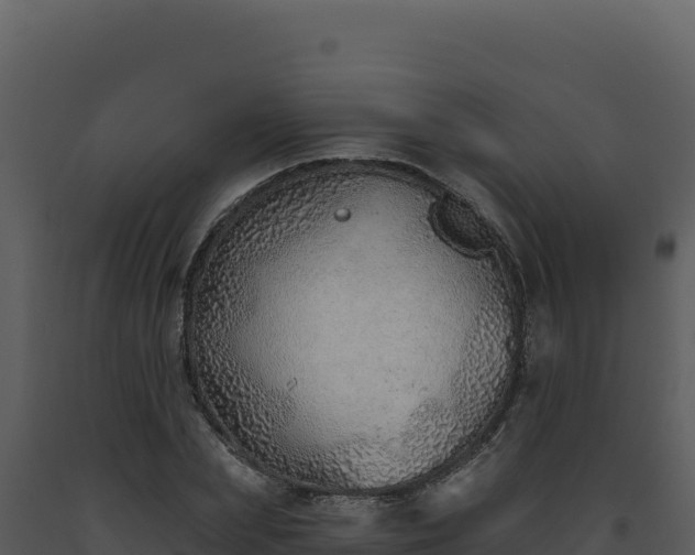 X0000093500831200710191247