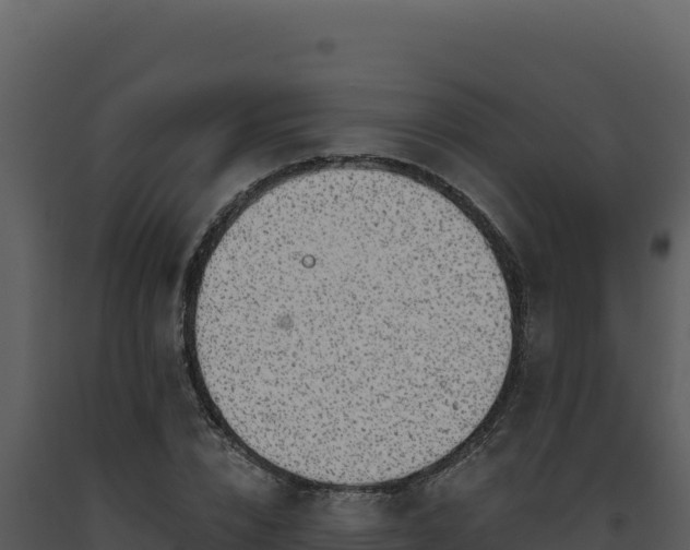 X0000093500832200710191247