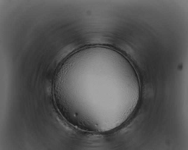 X0000093500833200710191247