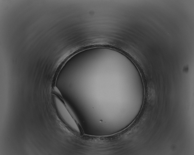 X0000093500834200710191247