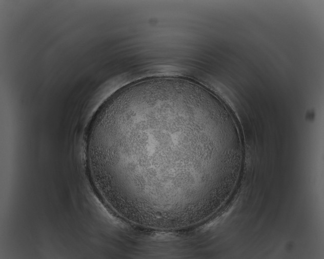 X0000093500835200710191247