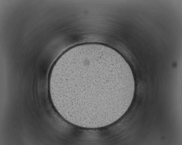 X0000093500836200710191247