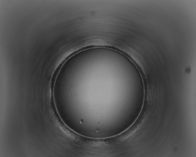 X0000093500837200710191247