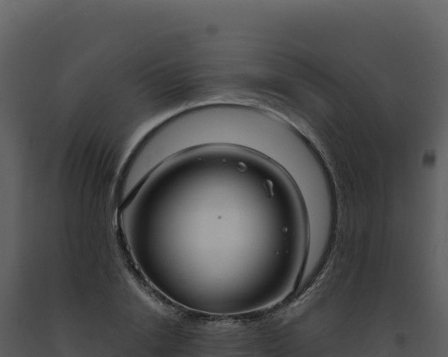 X0000093500838200710191247