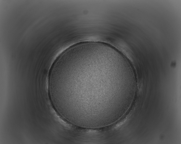 X0000093500839200710191247