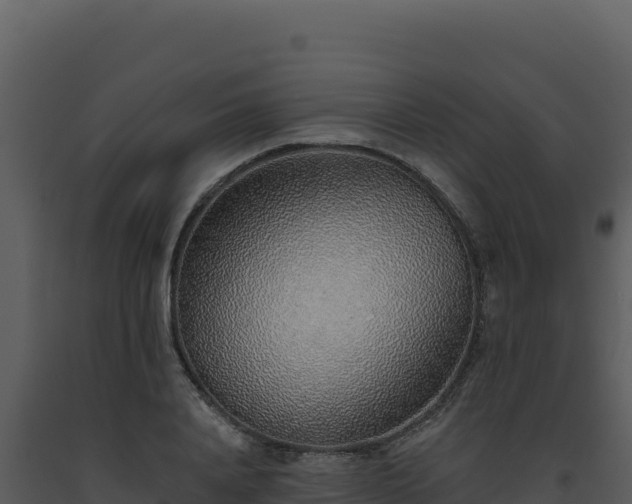 X0000093500840200710191247