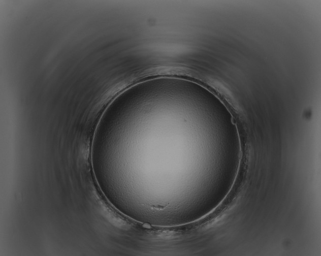 X0000093500841200710191247
