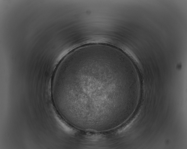 X0000093500842200710191247