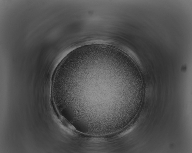 X0000093500844200710191247