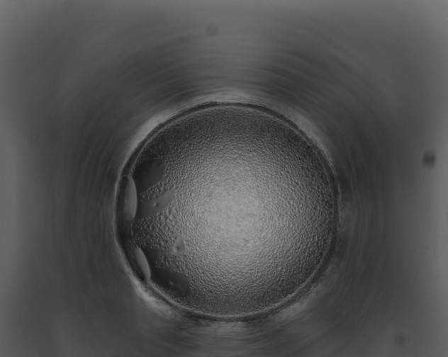 X0000093500845200710191247