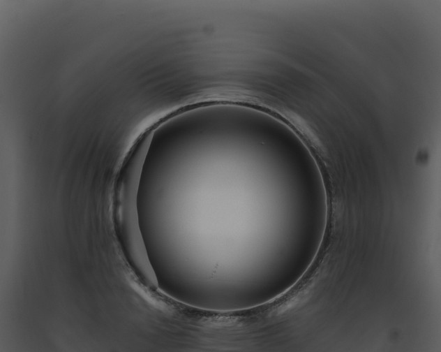 X0000093500846200710191247