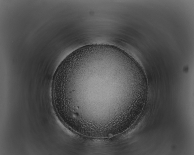 X0000093500847200710191247