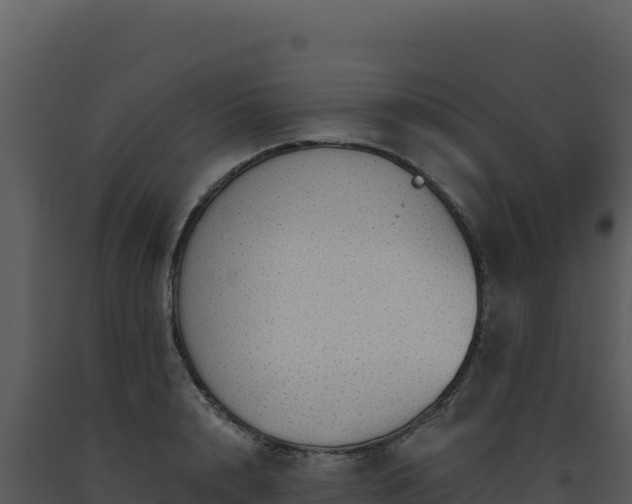 X0000093500848200710191247