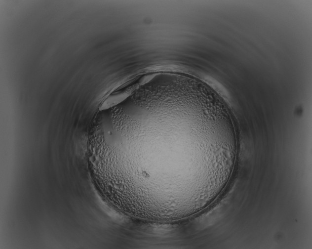 X0000093500849200710191247