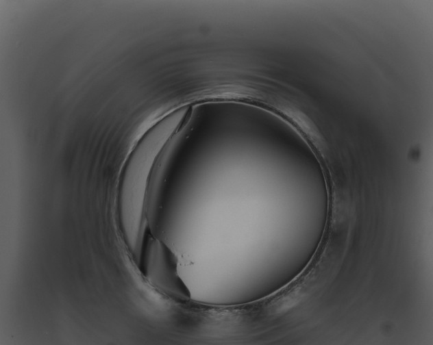 X0000093500850200710191247