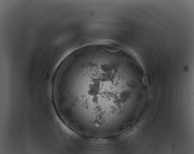 X0000093500851200710191247