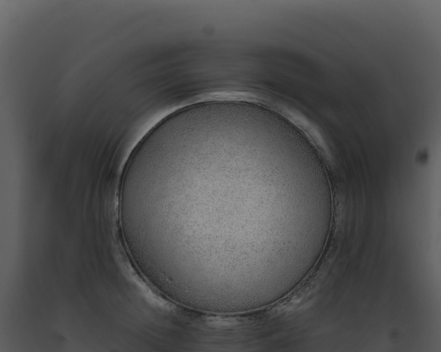 X0000093500852200710191247