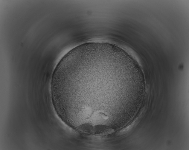 X0000093500855200710191247