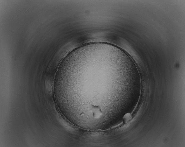 X0000093500857200710191247