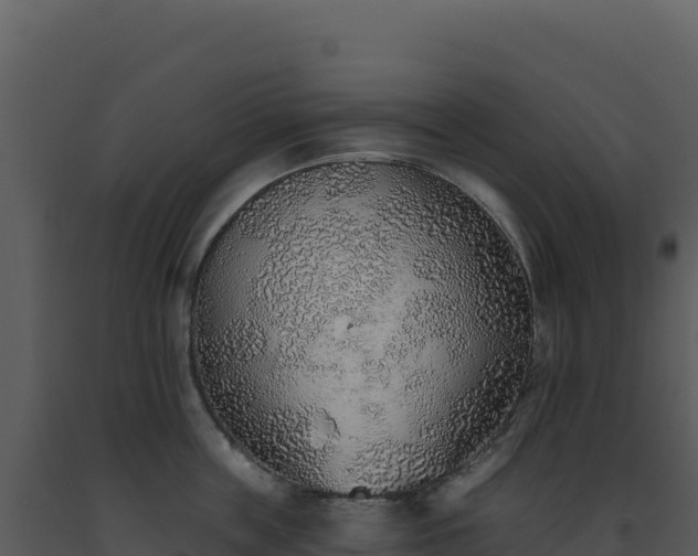 X0000093500859200710191247