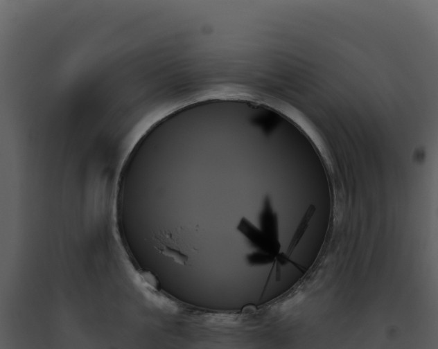 X0000093500861200710191247