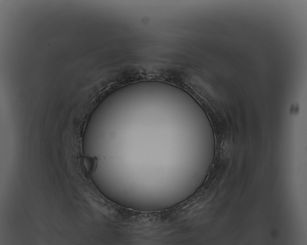 X0000093500865200710191247