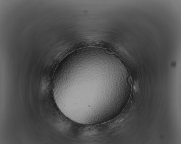 X0000093500867200710191247